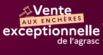 Vente Bordeaux - catalogue